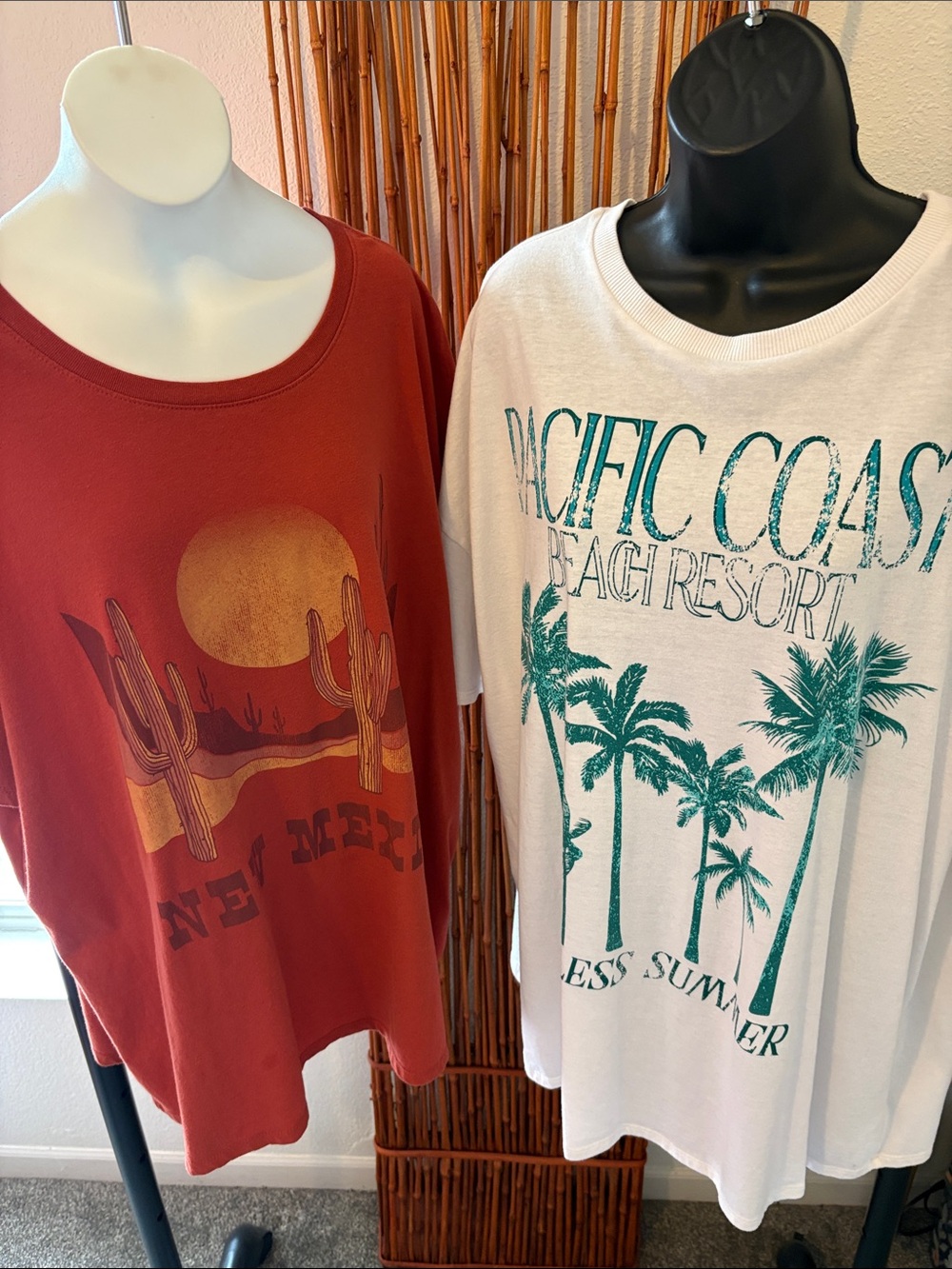 Women’s 2X T-shirt Bundle(2)